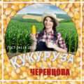 Кукуруза • 2019